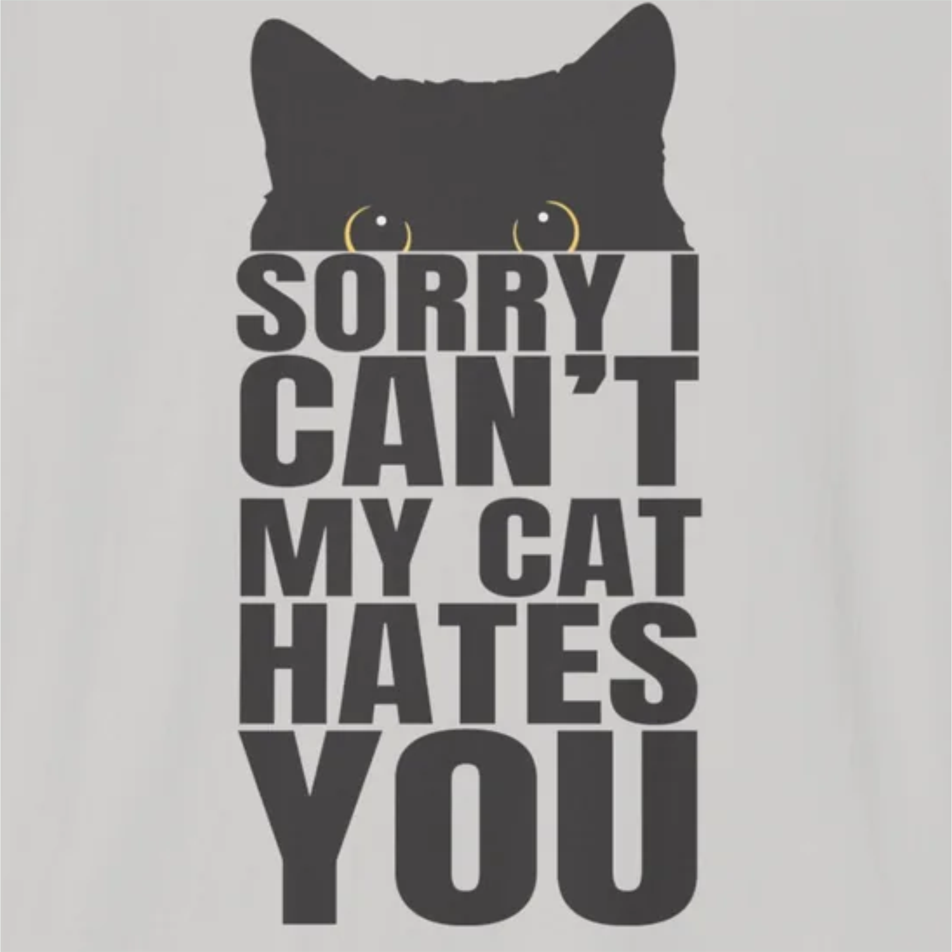Sorry my cat hates you T-Shirt