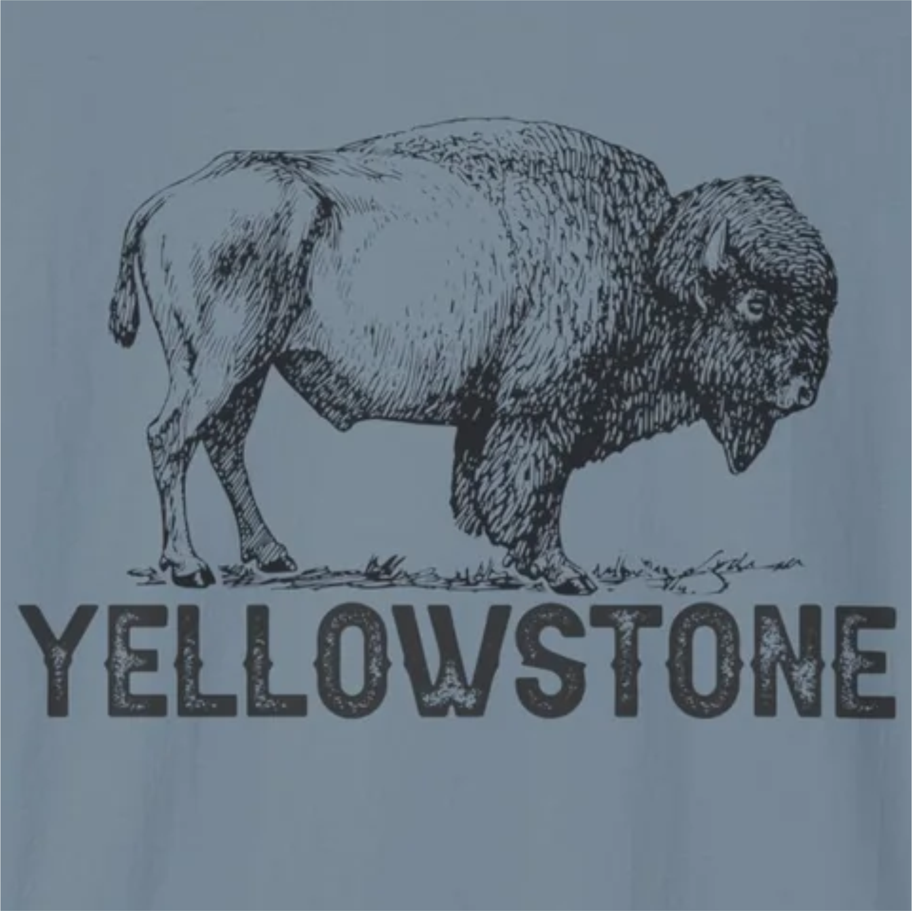 Yellowstone Buffalo T-Shirt